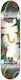 DGK Vacation Complete Shortboard 7.5" Multicolour