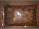 Substrate for Reptiles Terrarium