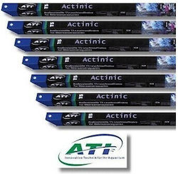Ati Actinic Λάμπα T5 για Φωτισμό Ενυδρείου με Μωβ Φως 24W