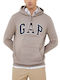 Sweatshirt with Hood Brown