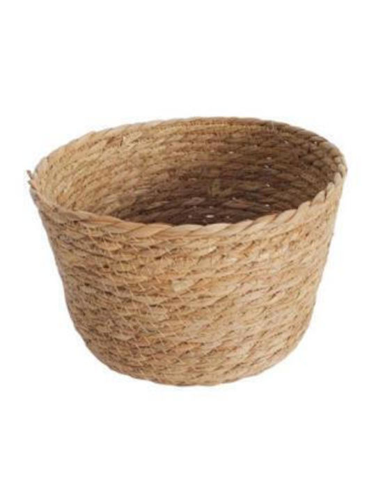 Decorative Basket Wicker with Handles Plastona