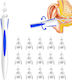 Ear Wax Εργαλείο Καθαρισμού Αυτιών 1τμχ