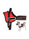 Nunbell Pet Dog Harness Red Medium 8434485364708-12