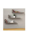 Wall Shelves Taupe (3 Pieces) 50x20x14cm