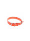 Num'axes Dog Collar in Orange color
