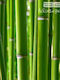 Wall Mural 360x254cm