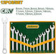 Jadever German Polygon Set with Size from 10mm to 19mm Jdsp1m12 12pcs