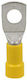Ergom Heavy Duty Terminal Industrial Facilities 404-003016100