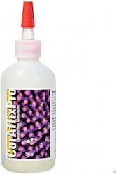 Two Little Fishies Aquarium Glue 071511