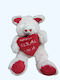 Dorosimo Plush Bear 28 cm