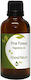 Nature & Body Pine Forest Αρωματικό Έλαιο Pine ...