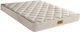 Orion Strom E054 Estia Bamboo Foam 200 Einzel E...