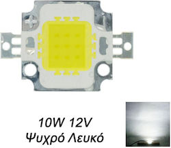 Cob LED Chip Cob LED Chip