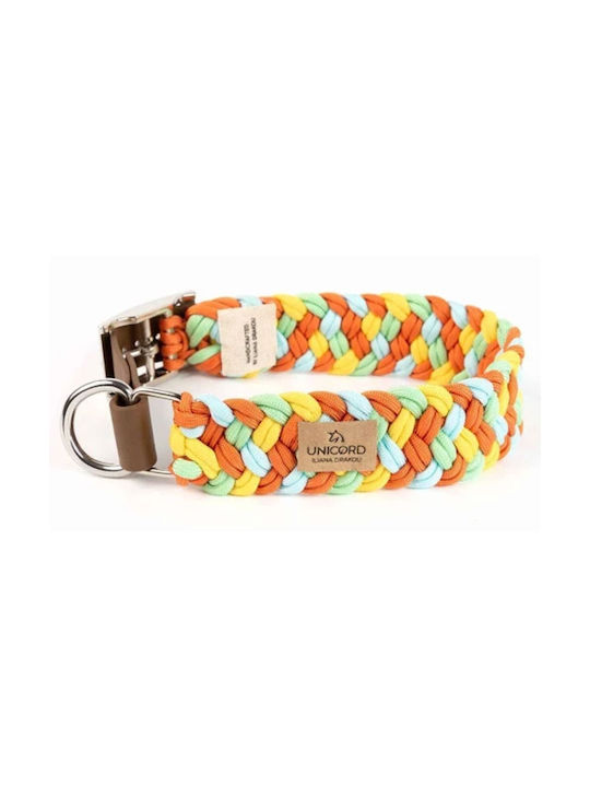 Unicord Dog Collar in Orange color