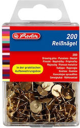 Herlitz 200 Drawing Pins 8770208