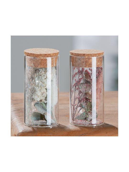 Dried Plant Transparent 10cm in Yala ArteLibre