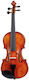 Startone Student 4/4 Βιολί