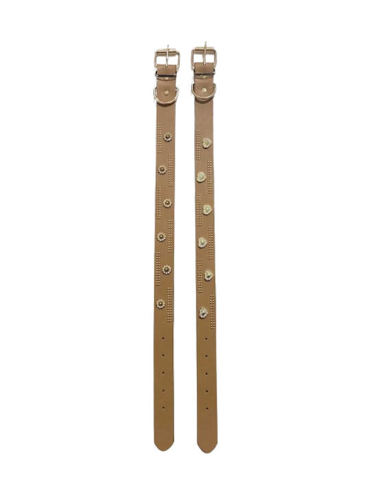 Hundehalsband 30mm x 56cm (Verschiedene Designs)