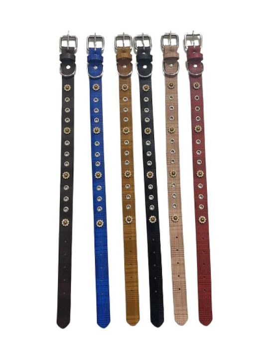 Dog Collar 30mm x 56cm 12pcs (Various Colors)