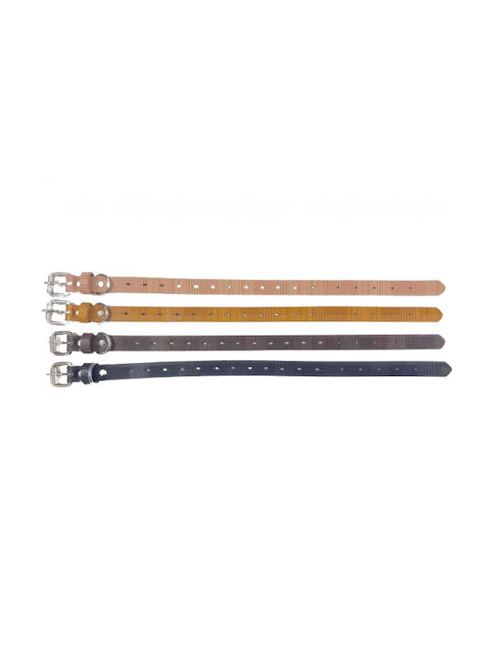 Hundehalsband 20mm x 46cm 12 Stück Verschiedene Farben Hundehalsband 20mm x 46cm 12 Stück Verschiedene Farben