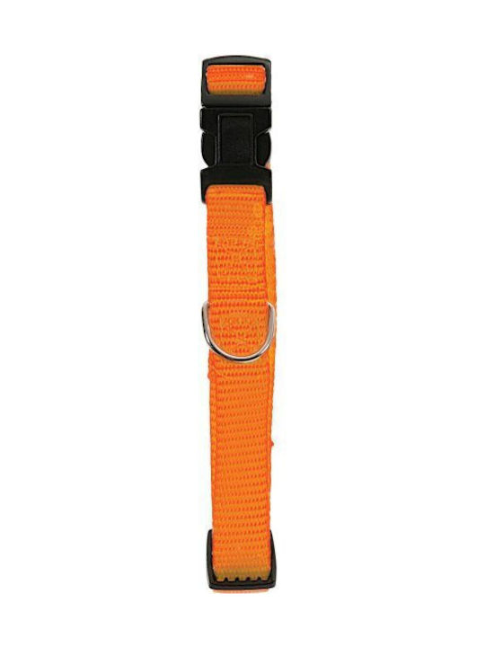 Zolux Dog Collar in Orange color 10mm