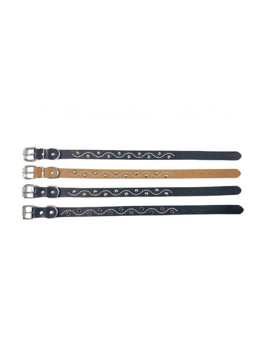 Dog Collar 30mm x 56cm (Various Colors)