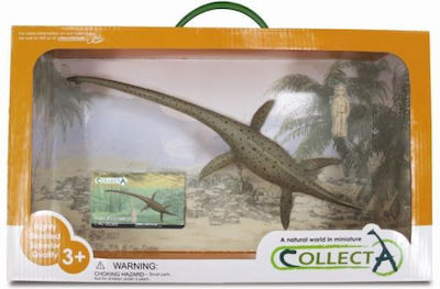 Collecta Miniature Toy Thalassomedon