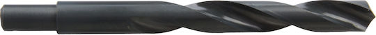 Proline Diamond Drill HSS for Metal 19mm / 13mm