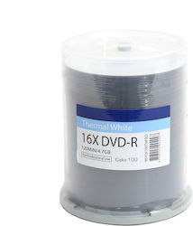 Traxdata Writable DVD-R 4.7GB 100 pcs