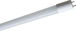 Bemko LED Bulb 22W for Socket G13 Natural White Bemko LED Bulb 22W for Socket G13 Natural White