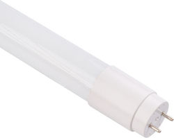 Eco Light LED крушка 25W за фасунга G13 Хладно бяло Eco Light LED крушка 25W за фасунга G13 Хладно бяло