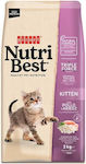 Picart Nutribest Dry Food for Juvenile Cats with Chicken 2kg