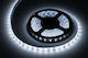 Rebel Αδιάβροχη Ταινία LED 12V Ψυχρό Λευκό Φως 5m