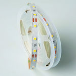 Eco Light LED Strip Power Supply 12V with Natural White Light Length 5m SMD2835