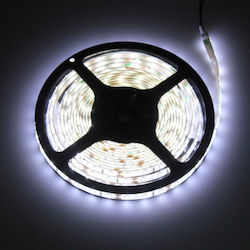 Eco Light Ταινία LED 12V 5m Eco Light Ταινία LED 12V 5m