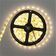 Eco Light Ταινία LED 12V Θερμό Λευκό Φως 5m Τύπου SMD2835