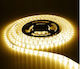 Eco Light LED Strip with Warm White Light Length 5m and 60 LEDs per Meter SMD2835