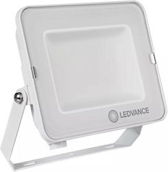 Ledvance Προβολέας 50W Στεγανός 4000K Ledvance Προβολέας 50W Στεγανός 4000K