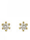 Kloxx Earrings made of Silver Gold Plated with Stones