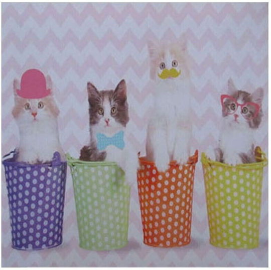 Colecția Melina Panou în Pânză 30x40 cm