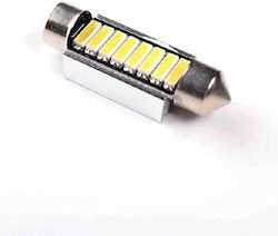 Maxeed Lampe R2W LED Maxeed Lampe R2W LED