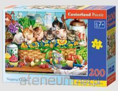 Kids Puzzle Kittens Castorland