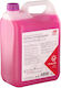 Febi Ready for Use Engine Coolant for Car G12+ ...