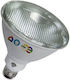 Smart LED Bulb 12W for Socket E27 and Shape PAR30 RGB Dimmable
