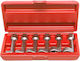 Proline Set 6Stück