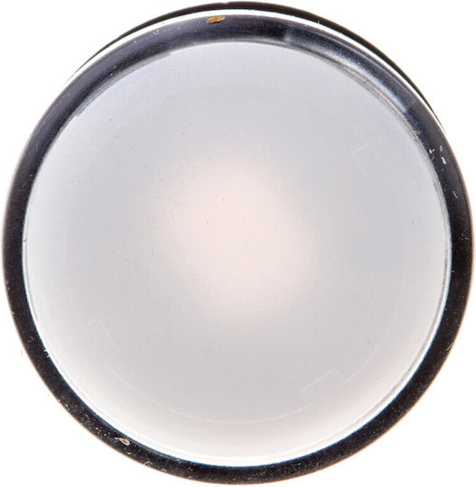 Schneider Electric Lumina Indicator Panou Single Albă