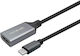 Vivolink Cable HDMI female - USB-C male 1m Μαύρο