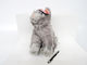 Plush Cat 37 cm