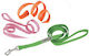 Petler Dog Leash/Lead Strap Medium in Green 16cm up to 23kg