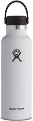 Hydro Flask Standard Mouth 621ml White